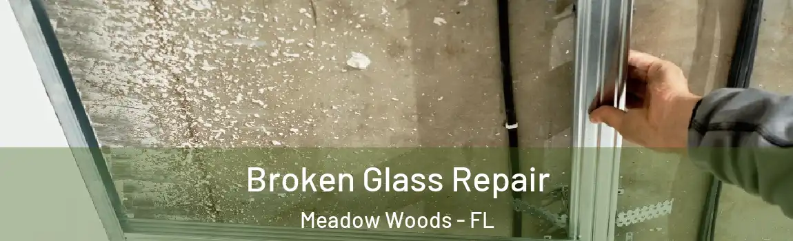 Broken Glass Repair Meadow Woods - FL