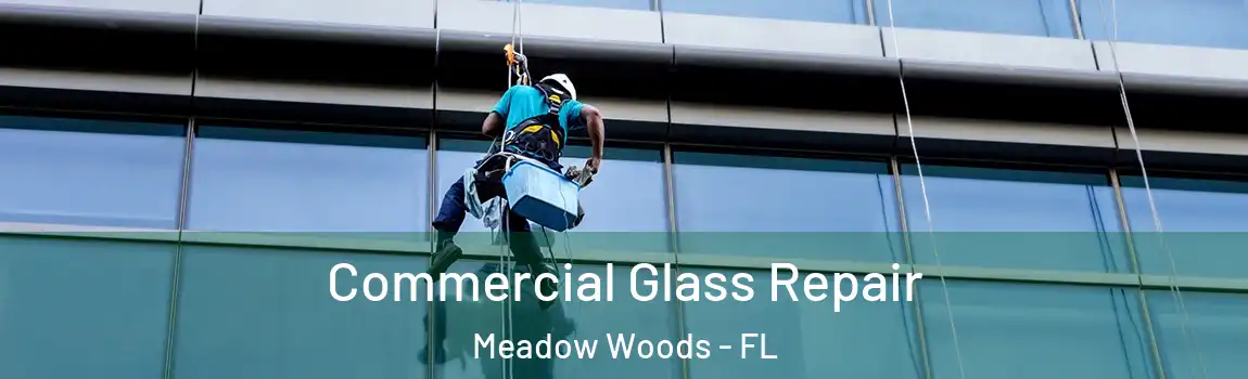 Commercial Glass Repair Meadow Woods - FL