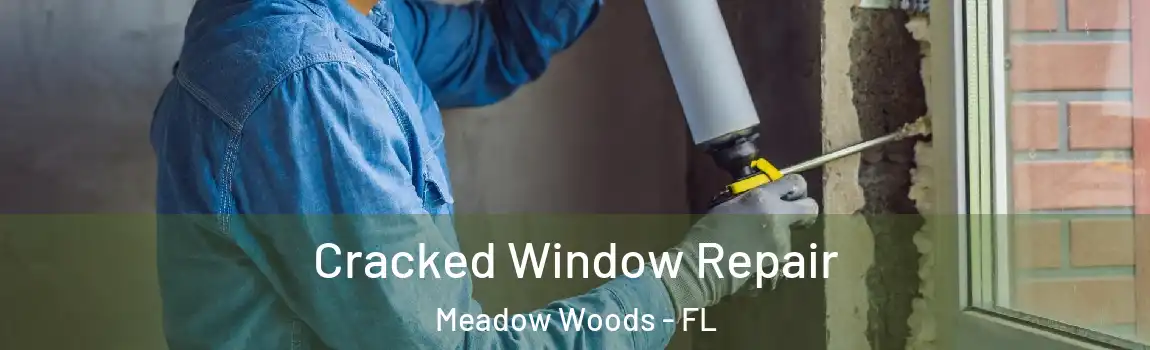 Cracked Window Repair Meadow Woods - FL