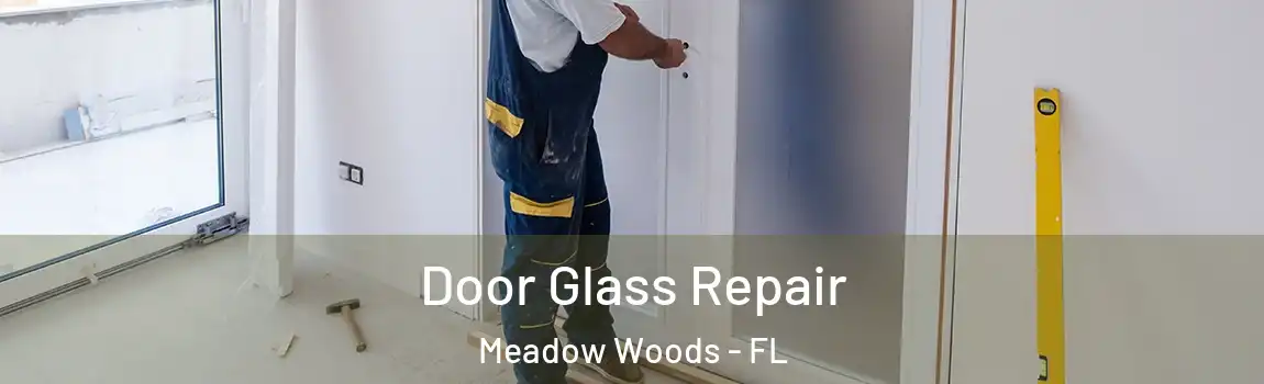 Door Glass Repair Meadow Woods - FL