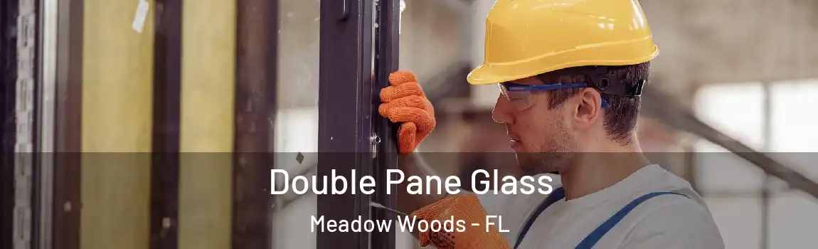 Double Pane Glass Meadow Woods - FL