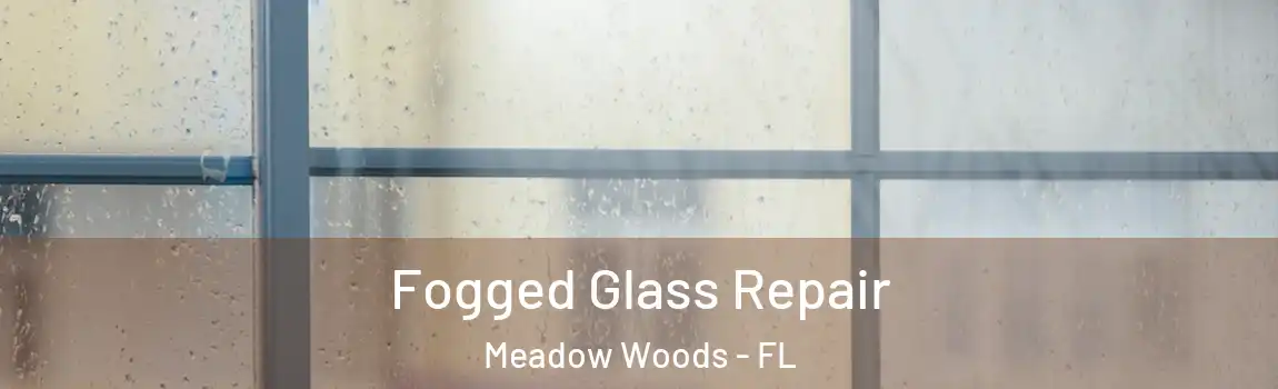 Fogged Glass Repair Meadow Woods - FL