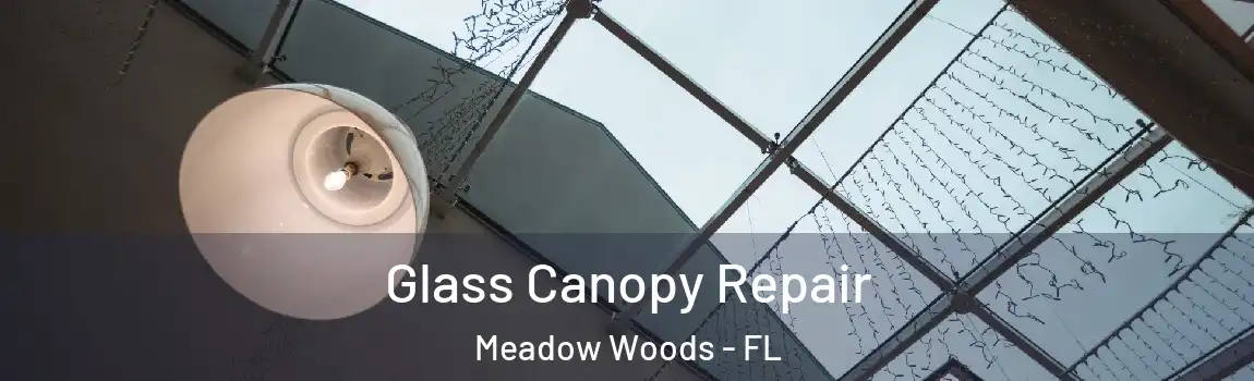 Glass Canopy Repair Meadow Woods - FL