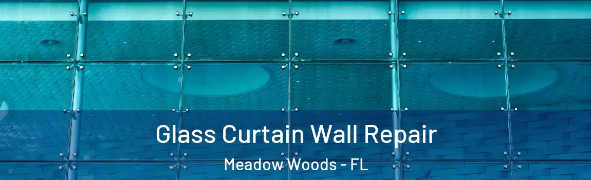 Glass Curtain Wall Repair Meadow Woods - FL