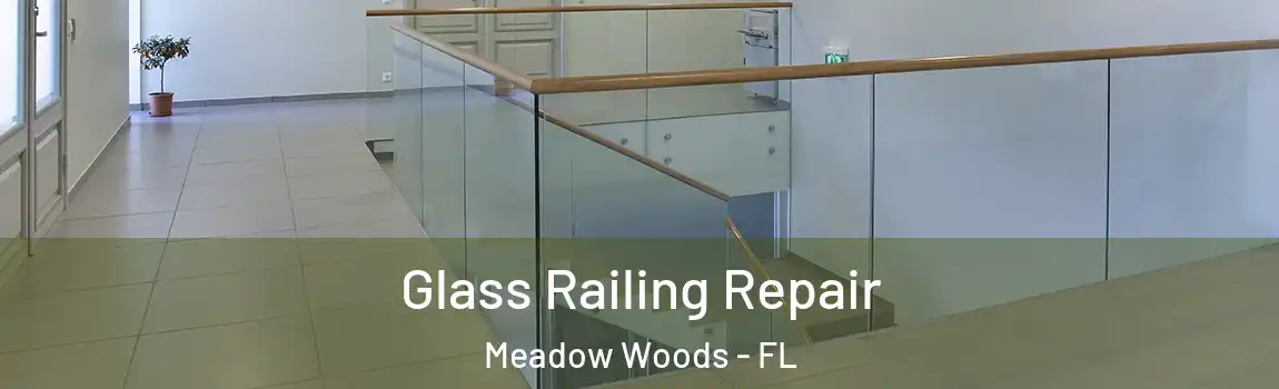 Glass Railing Repair Meadow Woods - FL
