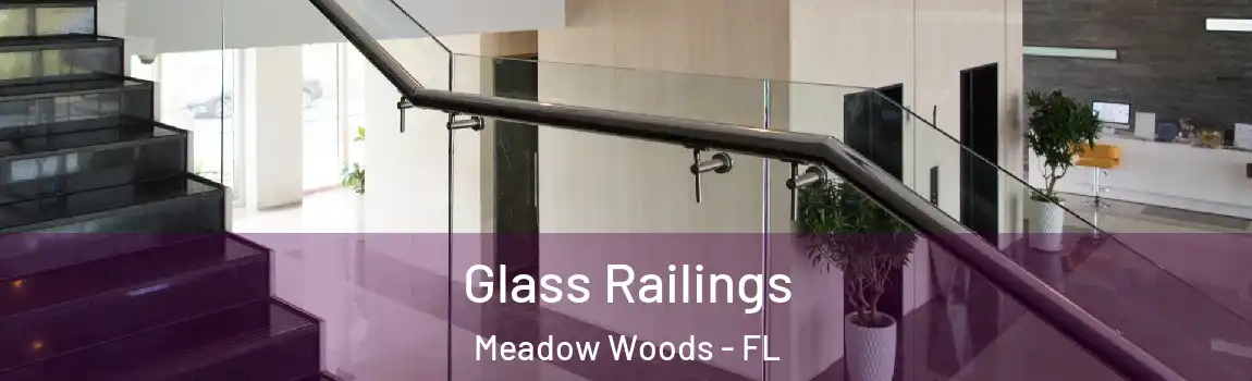 Glass Railings Meadow Woods - FL