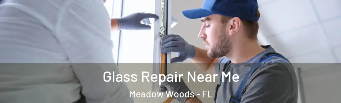 Glass Repair Near Me Meadow Woods - FL