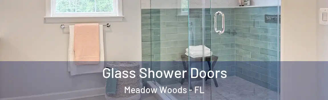 Glass Shower Doors Meadow Woods - FL