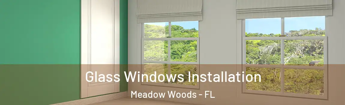 Glass Windows Installation Meadow Woods - FL