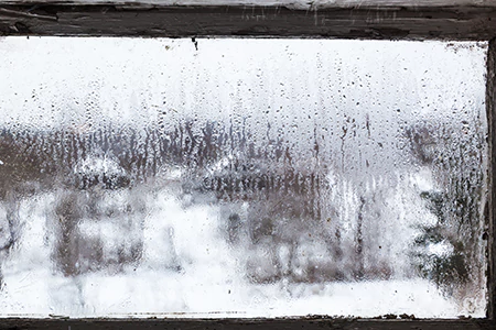 Defogging Double Pane Windows in Meadow Woods, FL