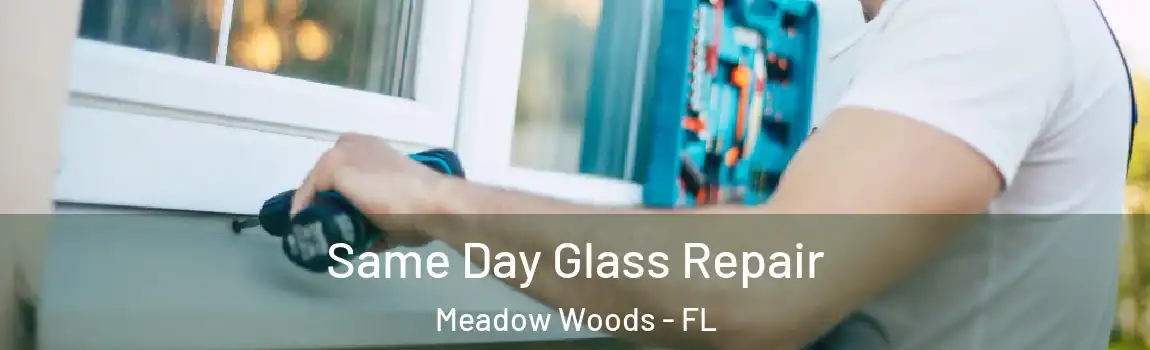 Same Day Glass Repair Meadow Woods - FL