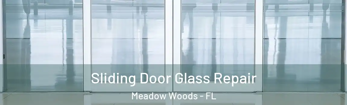 Sliding Door Glass Repair Meadow Woods - FL
