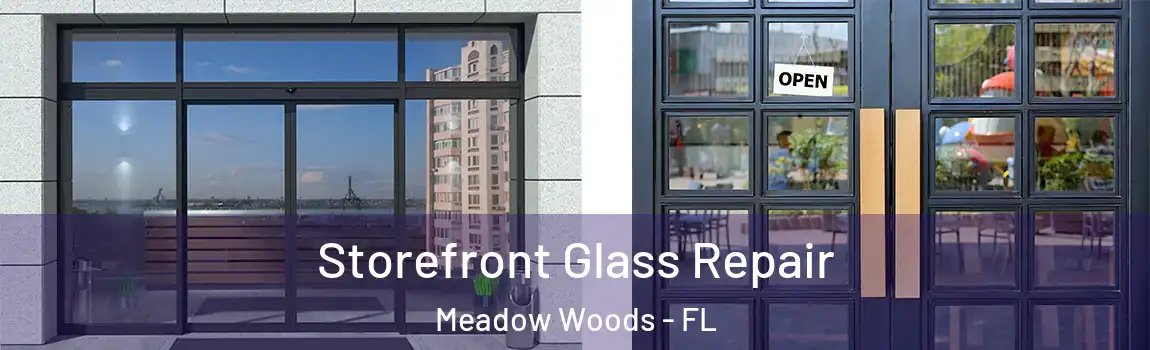 Storefront Glass Repair Meadow Woods - FL