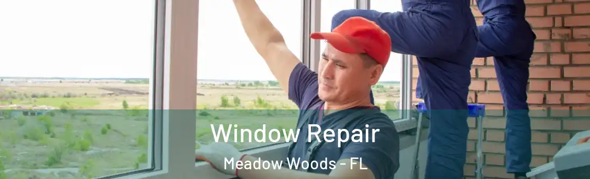 Window Repair Meadow Woods - FL